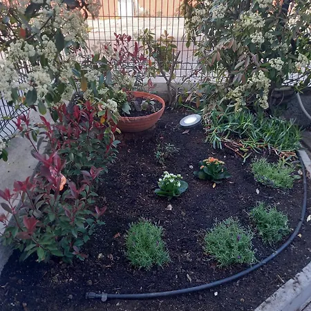 La Casa Di Piccoli Di Gabriele Martelli E Catia Pacetti - *