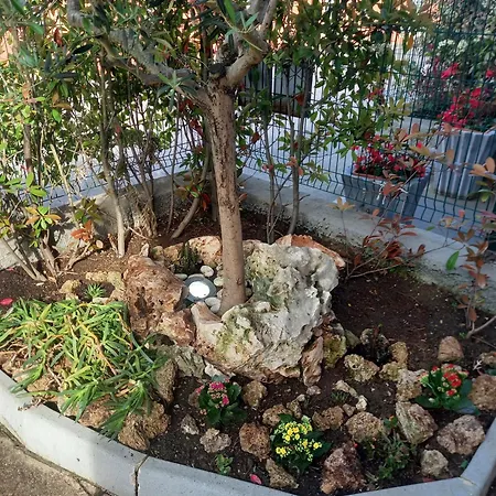 La Casa Di Piccoli Di Gabriele Martelli E Catia Pacetti - *